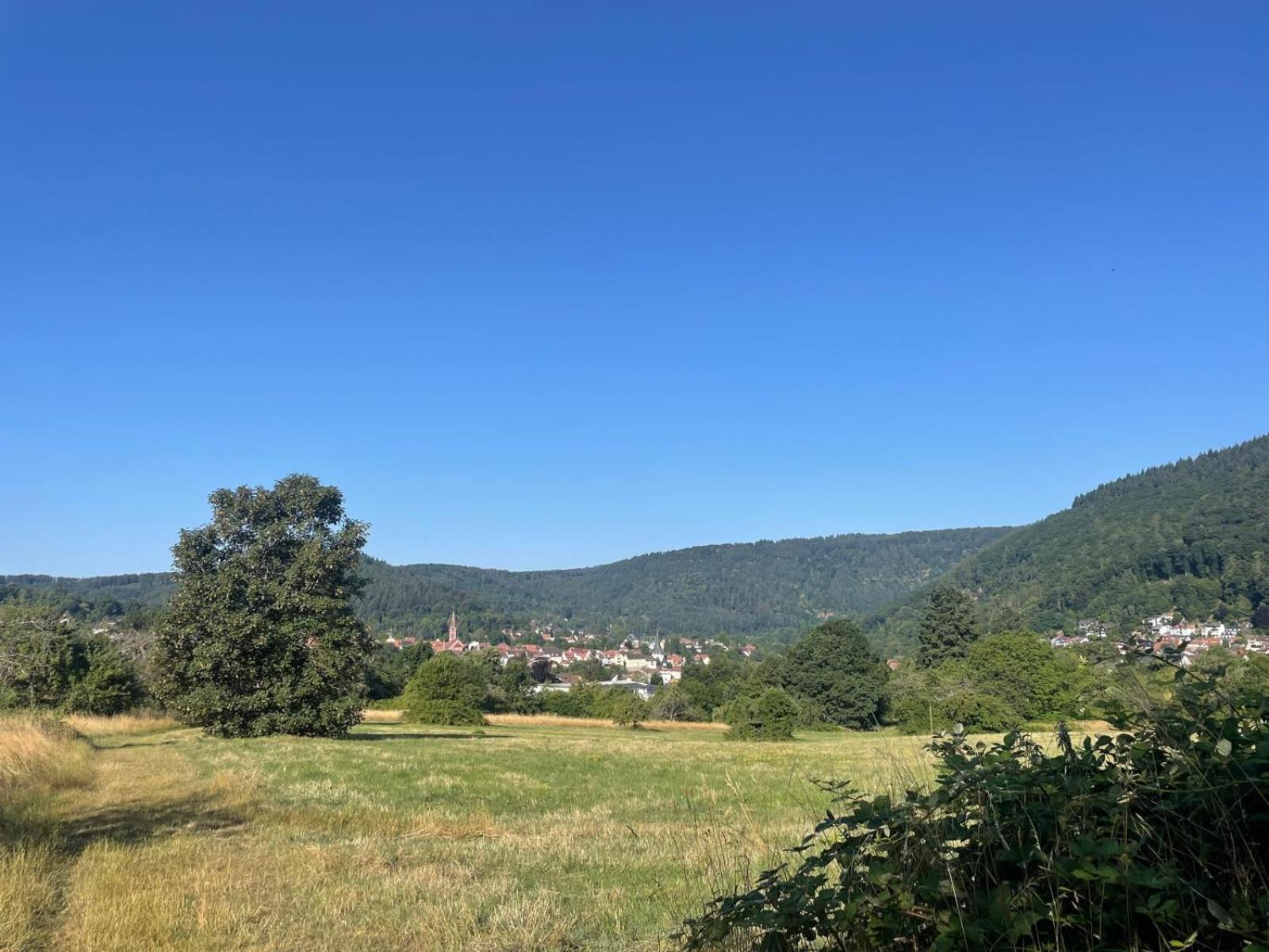 Ein Traum Am Waldrand Appartement Neckargemünd