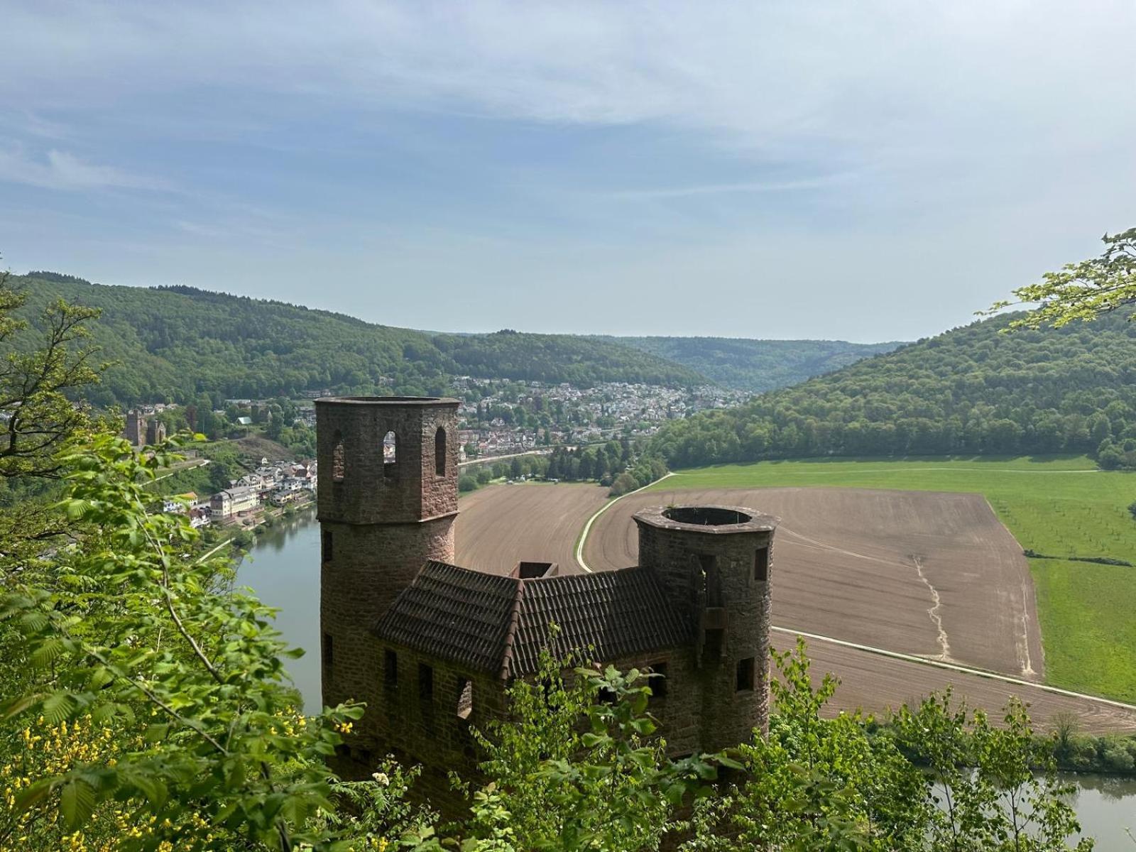 Ein Traum Am Waldrand Apartment Neckargemund
